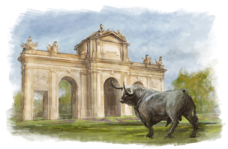 Imagen Montaje y composición alcala 